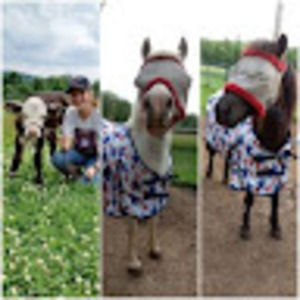 Meet your Posher, Weeping willow